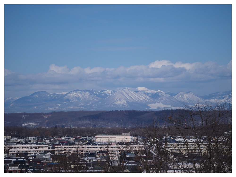 260125_Bird-survey_26