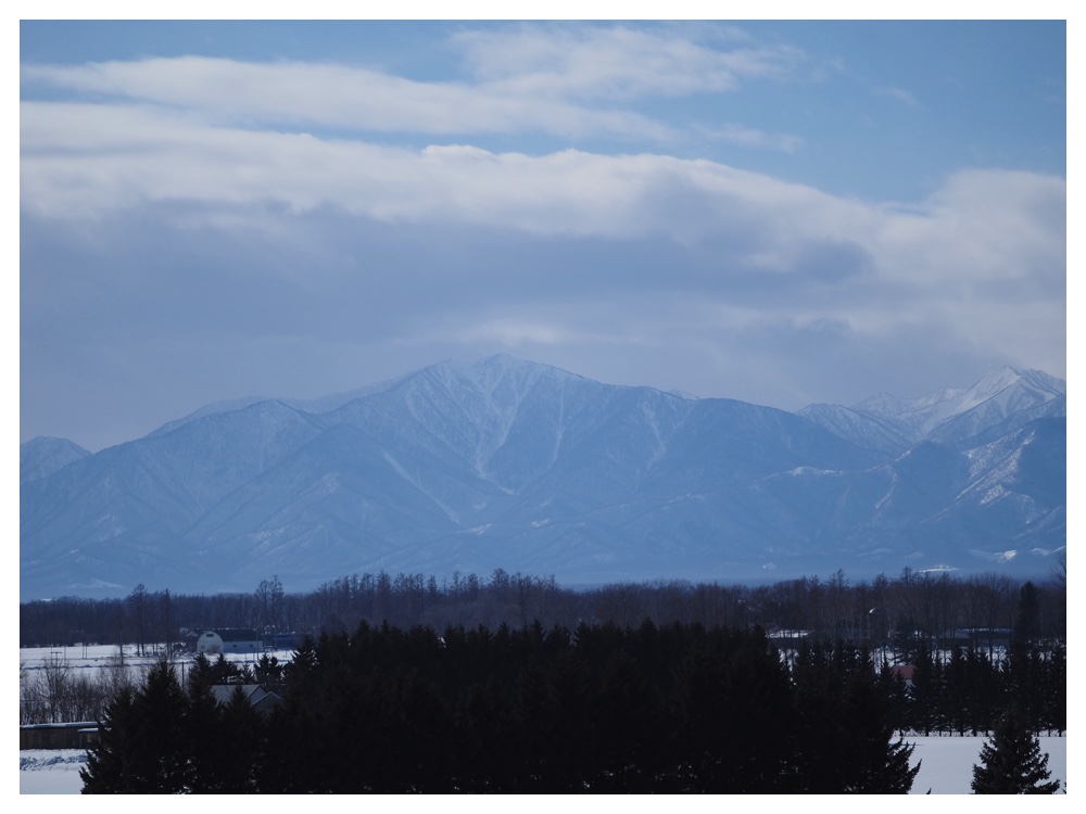 260125_Bird-survey_29