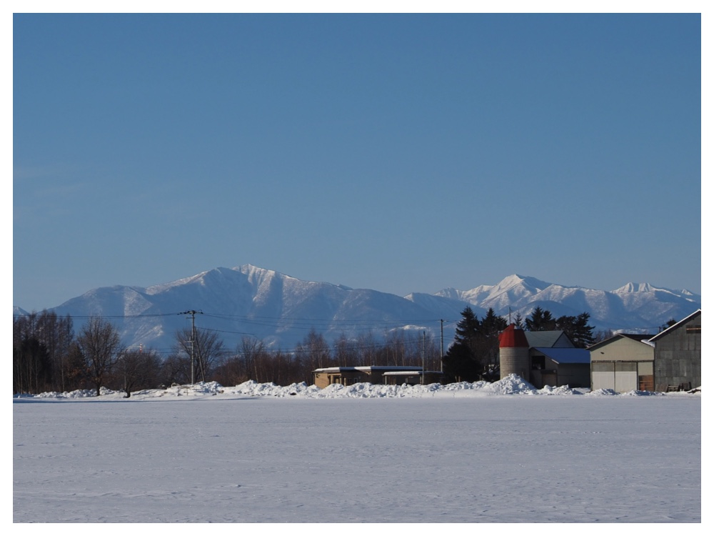 260125_Bird-survey_3