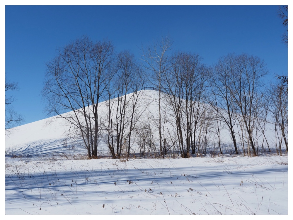 260125_Bird-survey_7