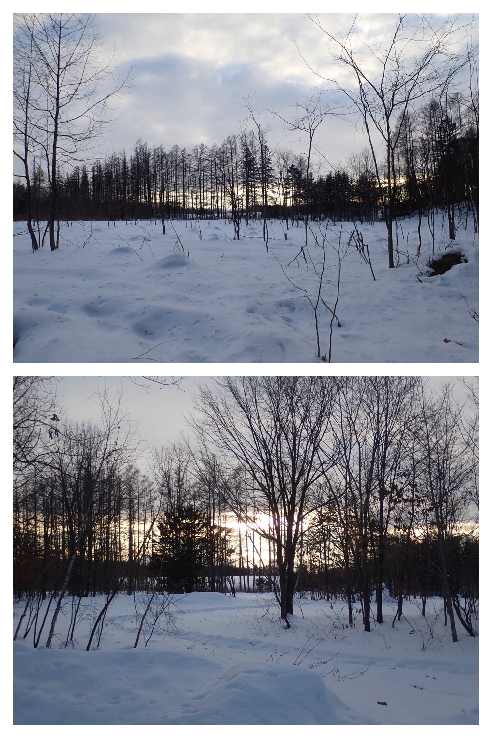 260130_Windy-walk_11