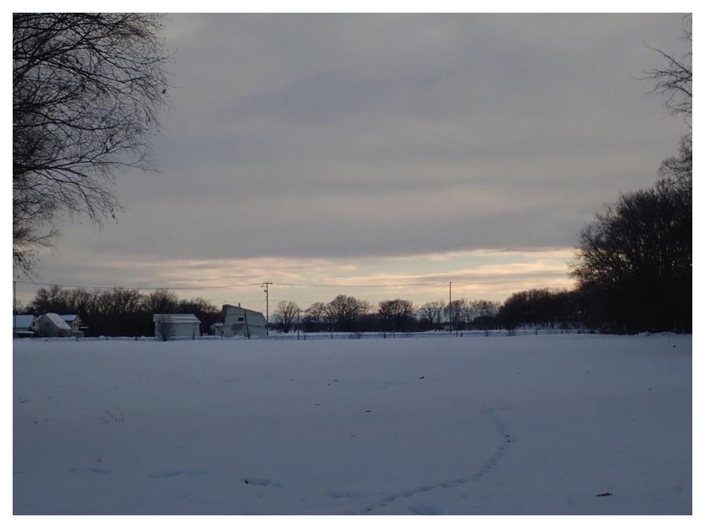 260130_Windy-walk_12