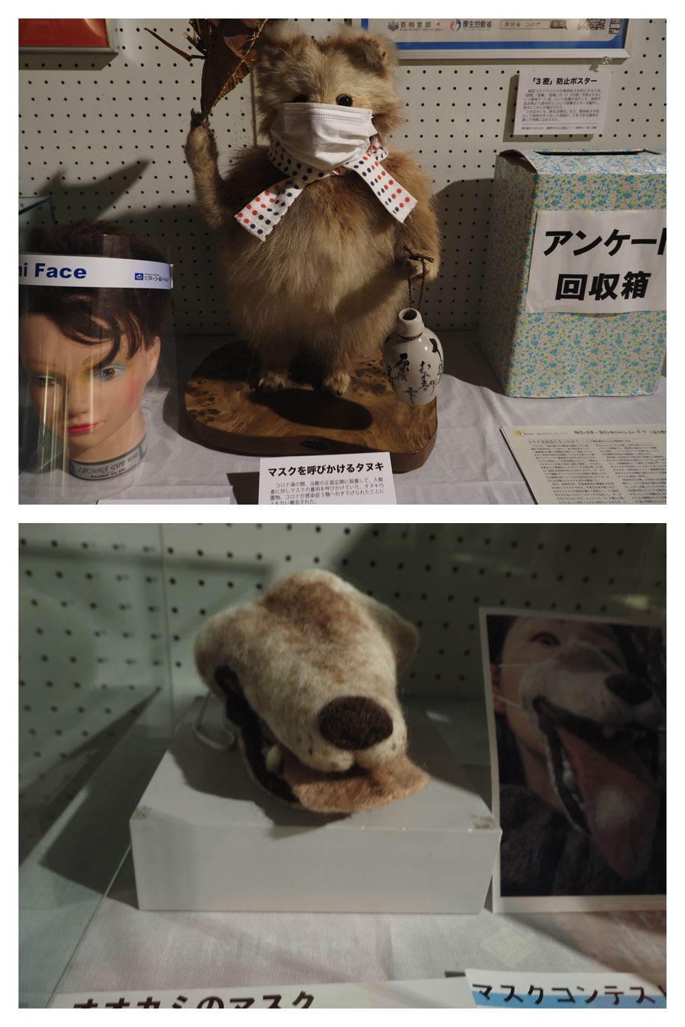 260712_Shizenshi_17.jpg
