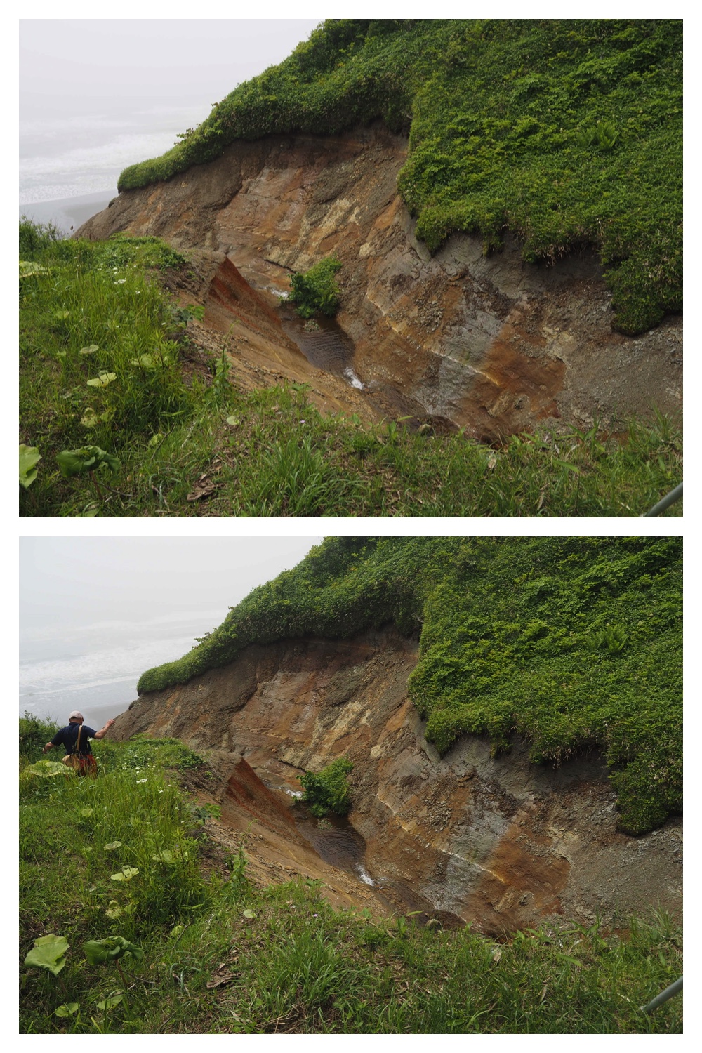 260712_Shizenshi_2.jpg