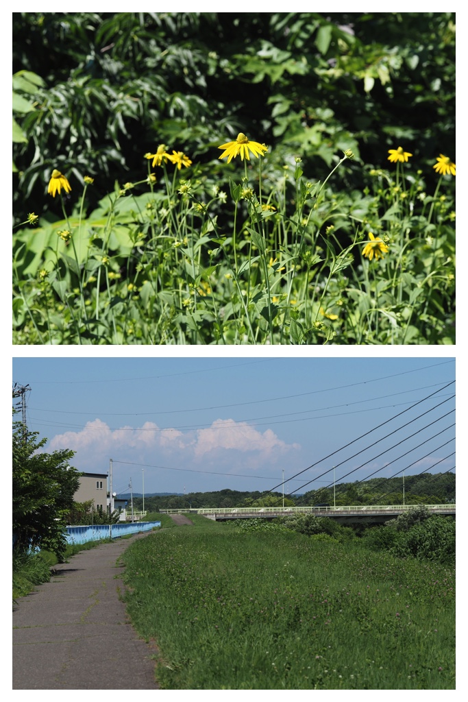 260721_Hasshounochi_4
