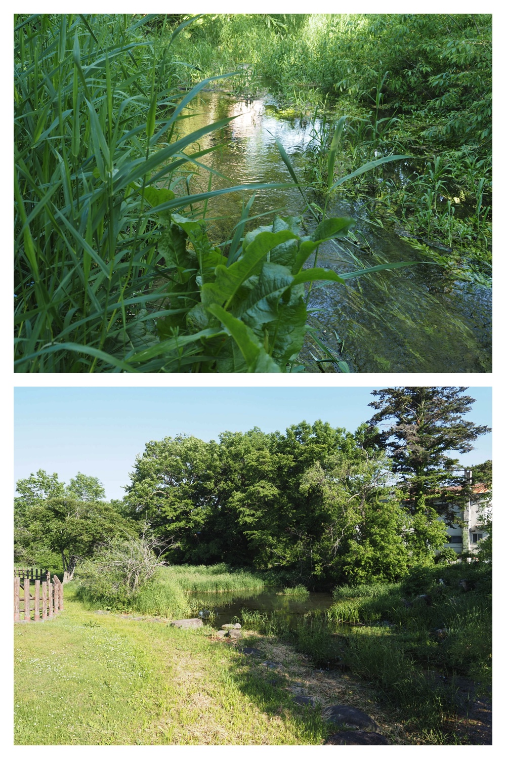 260602_Hasshounochi_13