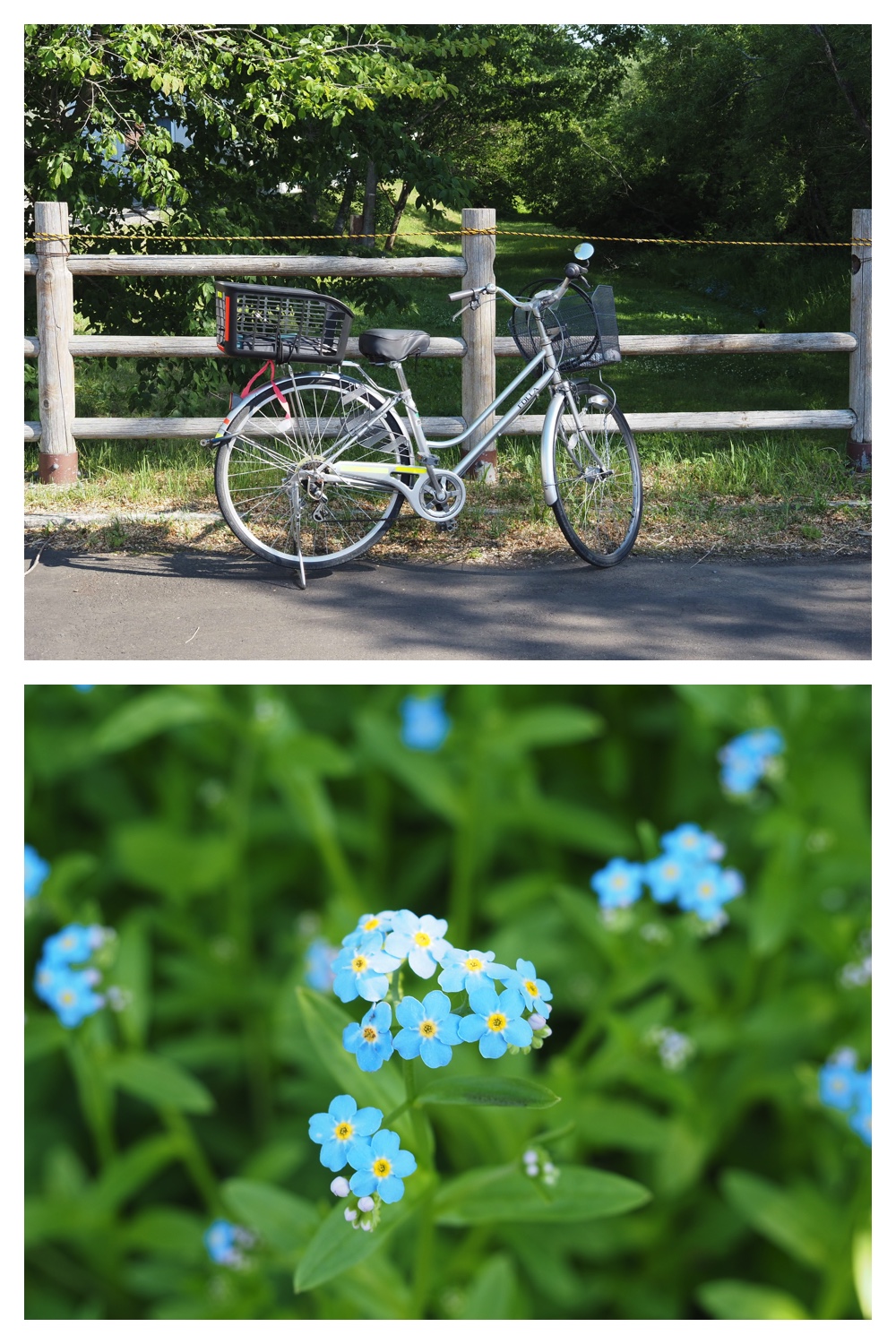 260602_Hasshounochi_3