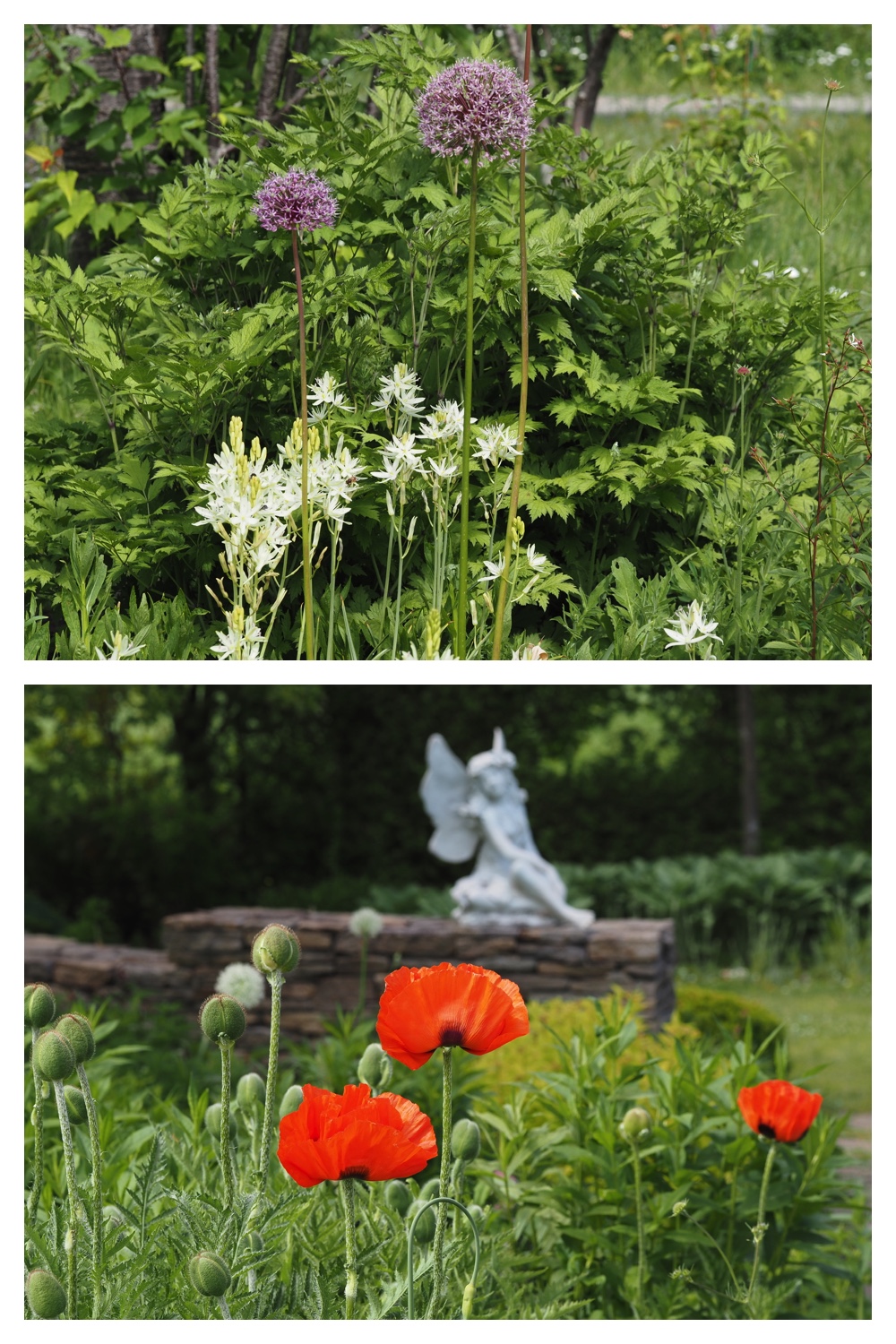 260605_Tokachi-hills_14