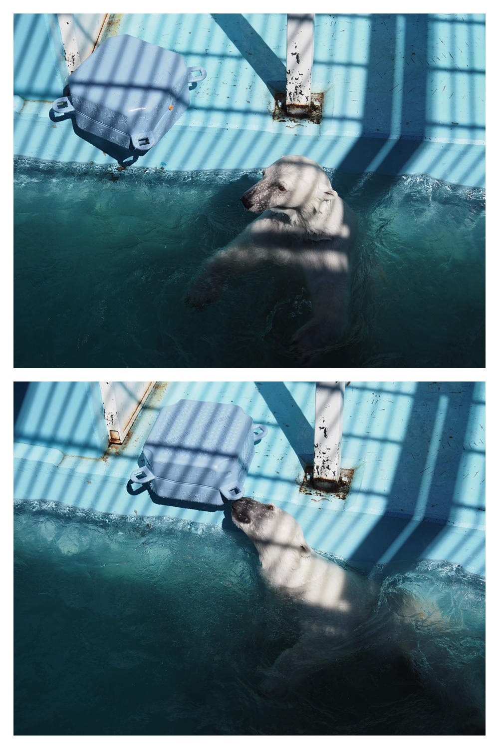 260612_Zoo_12