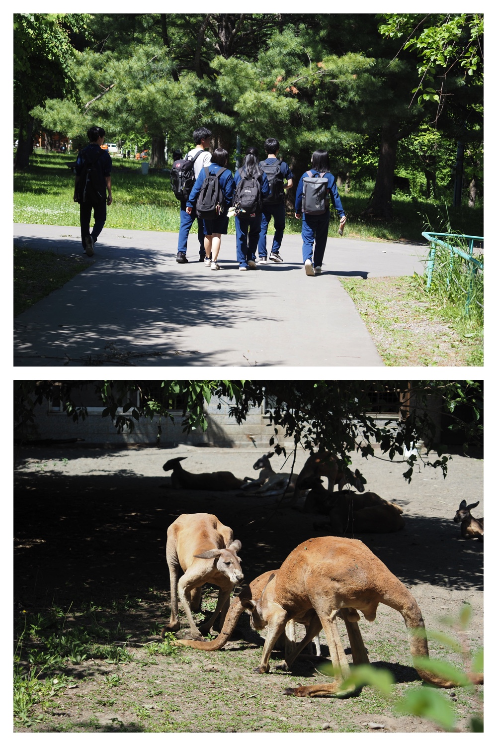 260612_Zoo_3