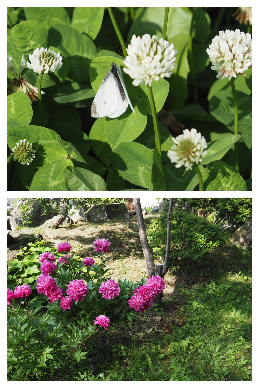 260618_Hasshounochi_4