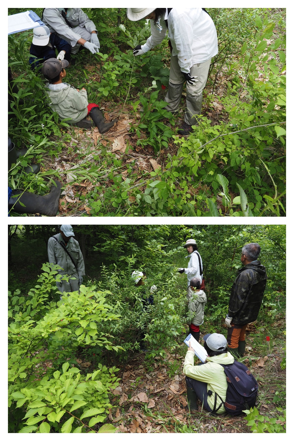 260621_Satoyama_10