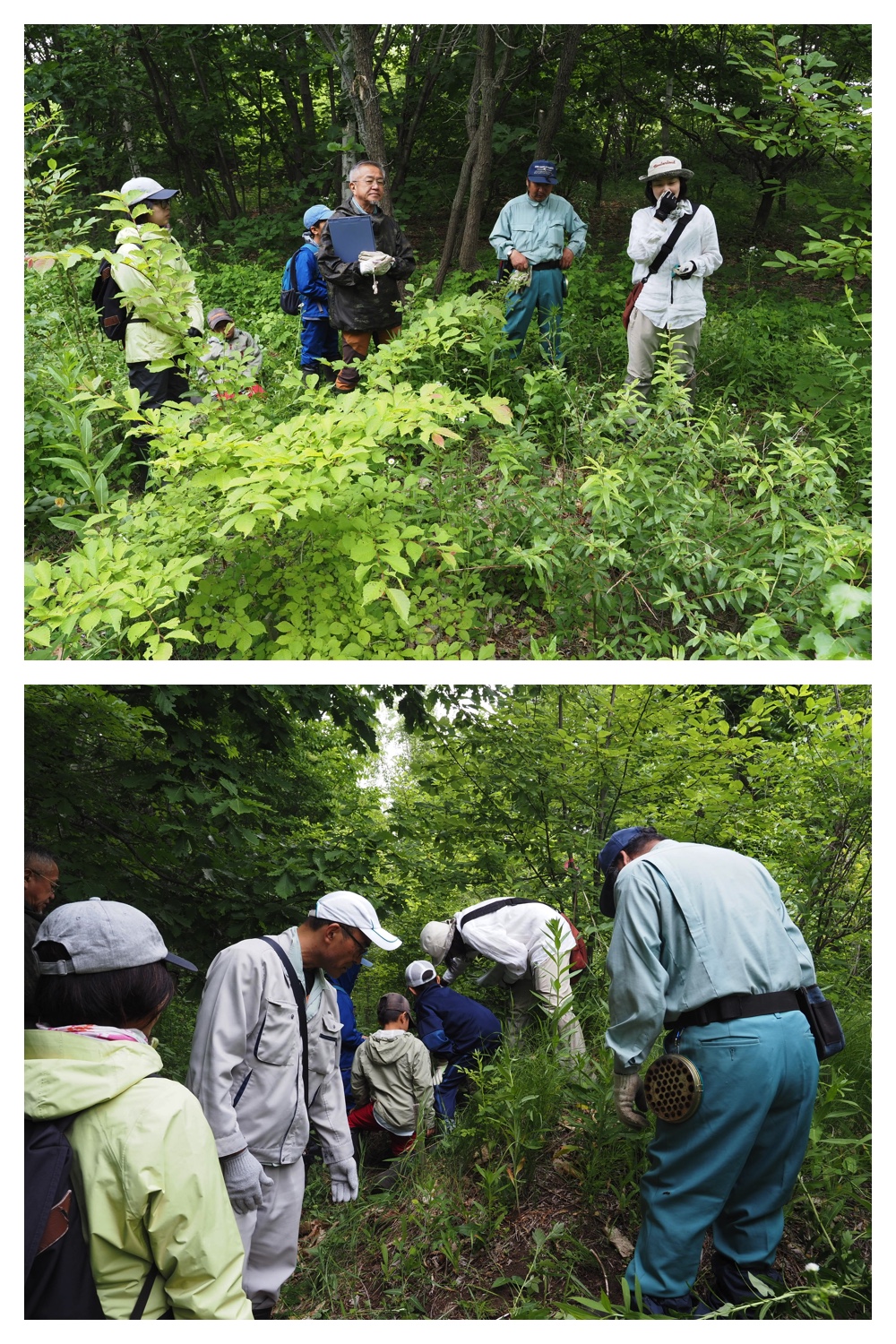 260621_Satoyama_7