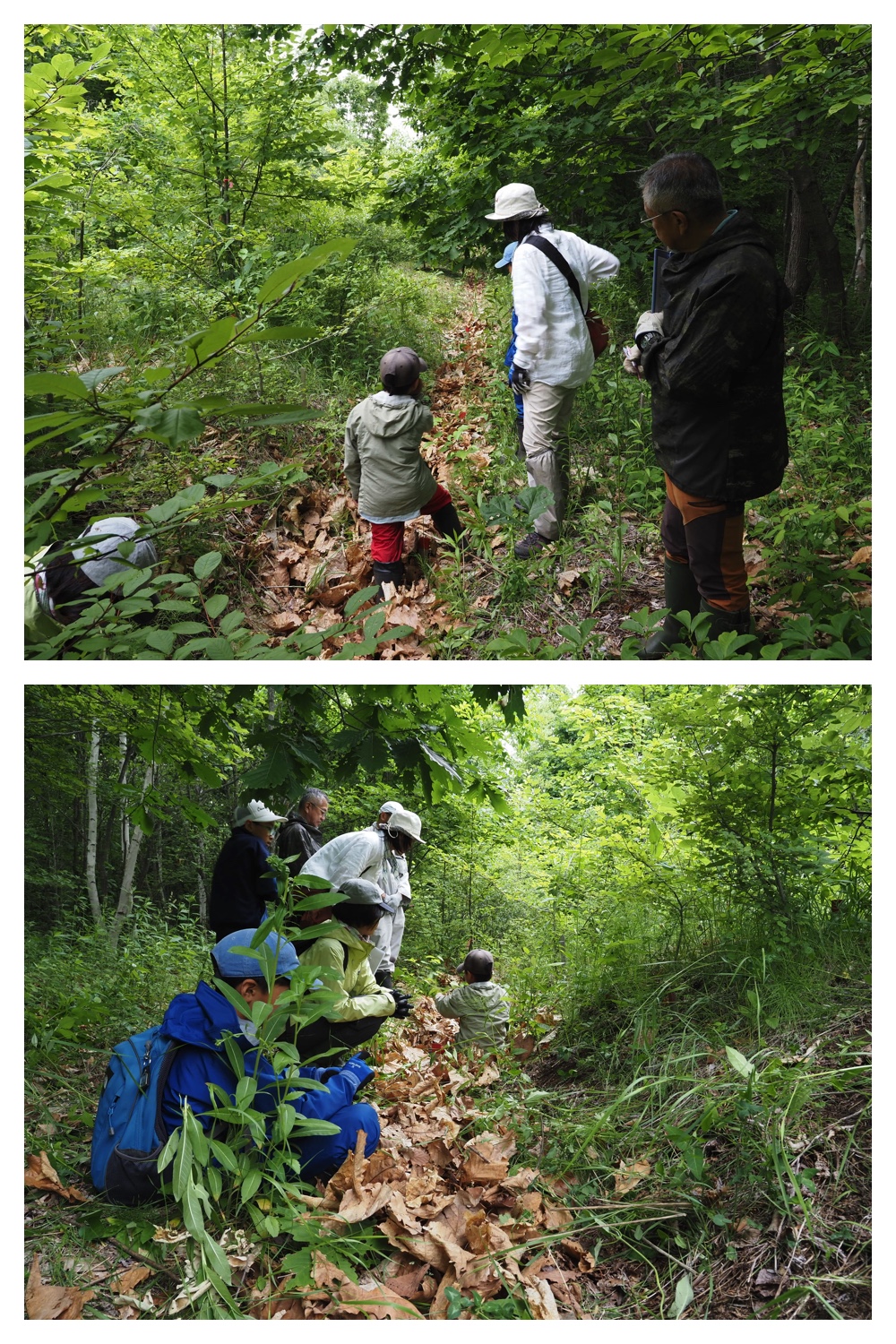260621_Satoyama_9