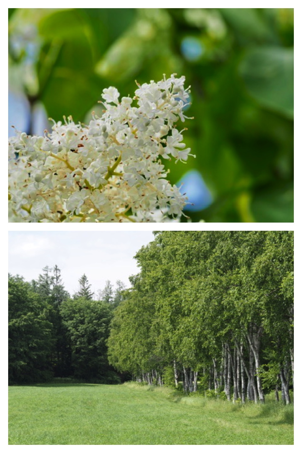 260630_Noukou-walk_1