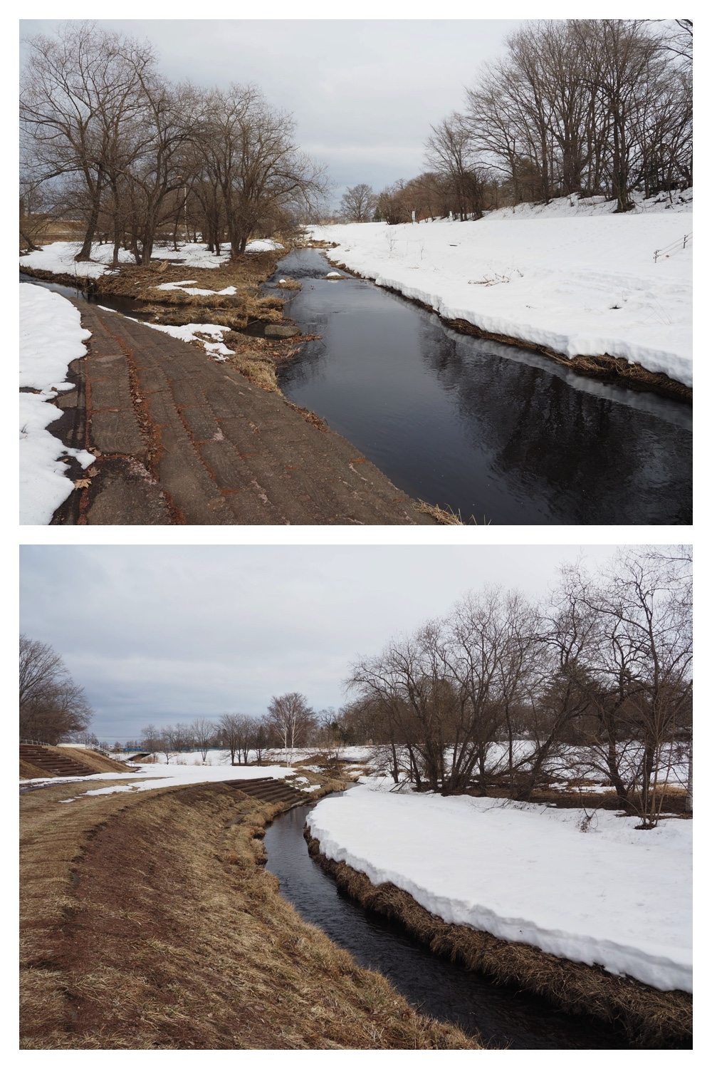 260303_After-the-storm_10