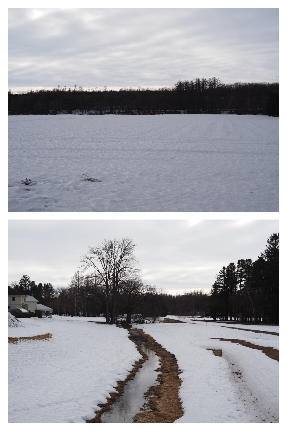 260303_After-the-storm_13