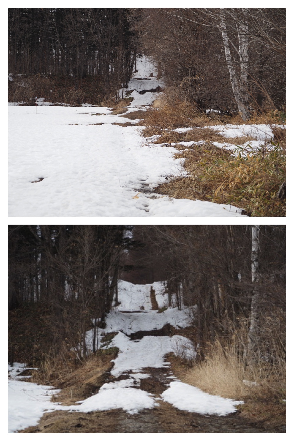 260303_After-the-storm_2