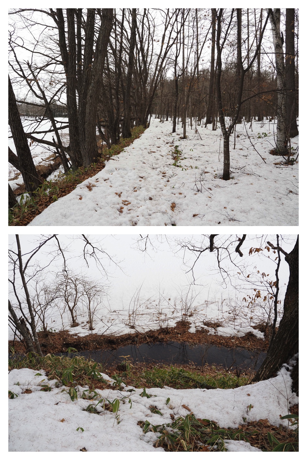 260303_After-the-storm_4