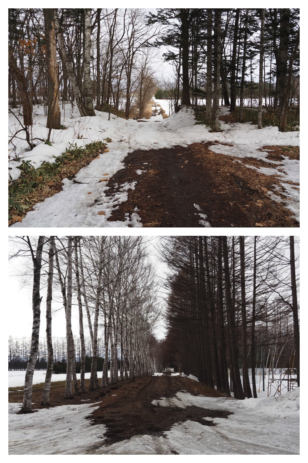 260303_After-the-storm_6