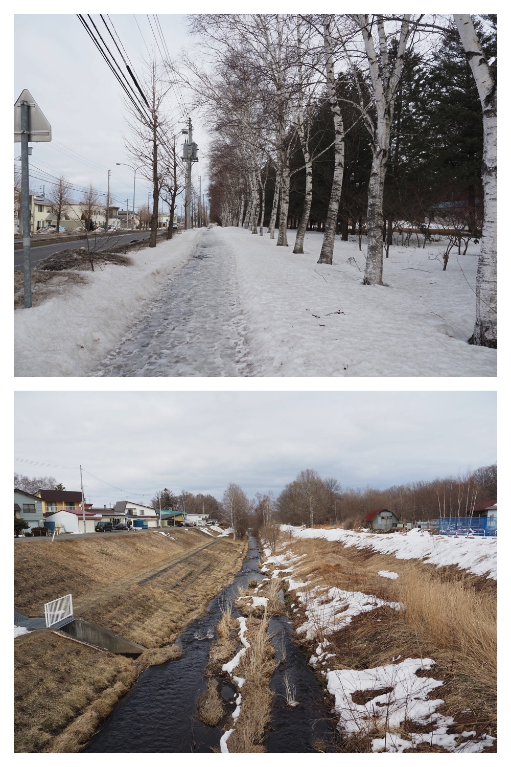 260303_After-the-storm_8