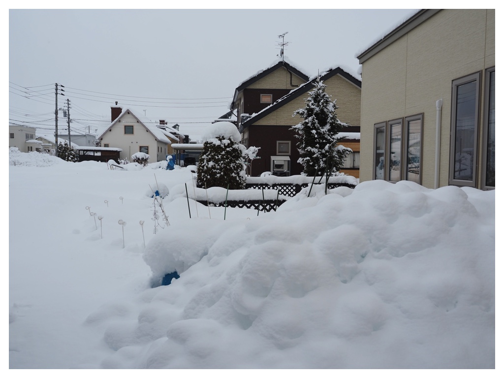 260305_After-the-heavy-snow_1