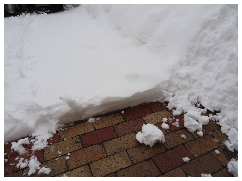 260305_After-the-heavy-snow_2