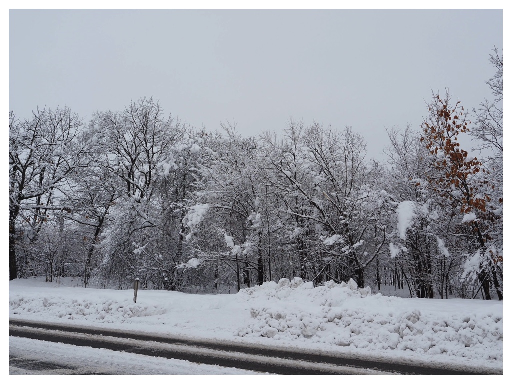 260305_After-the-heavy-snow_4