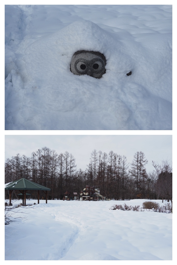 260306_Snowy-scenes_1