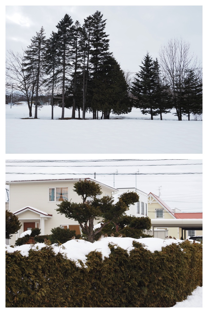 260306_Snowy-scenes_11