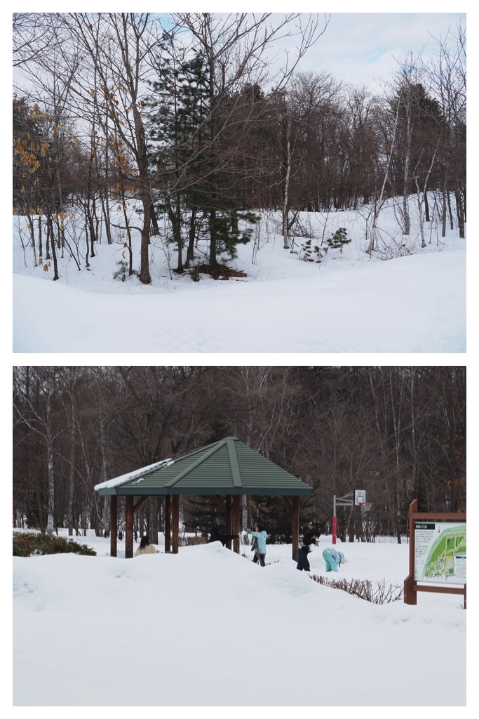 260306_Snowy-scenes_13