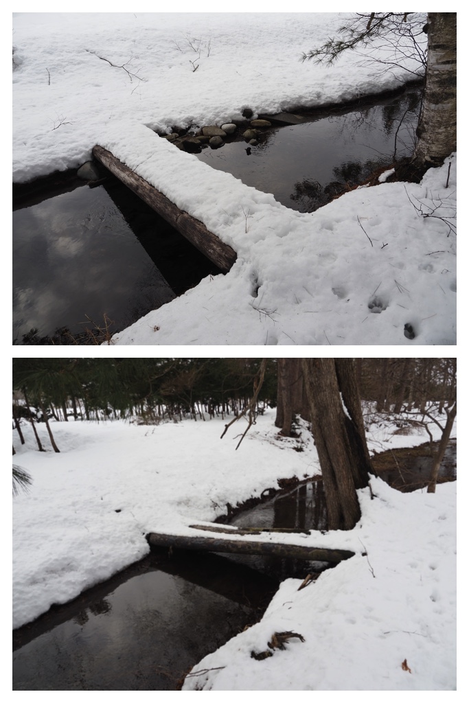 260306_Snowy-scenes_5