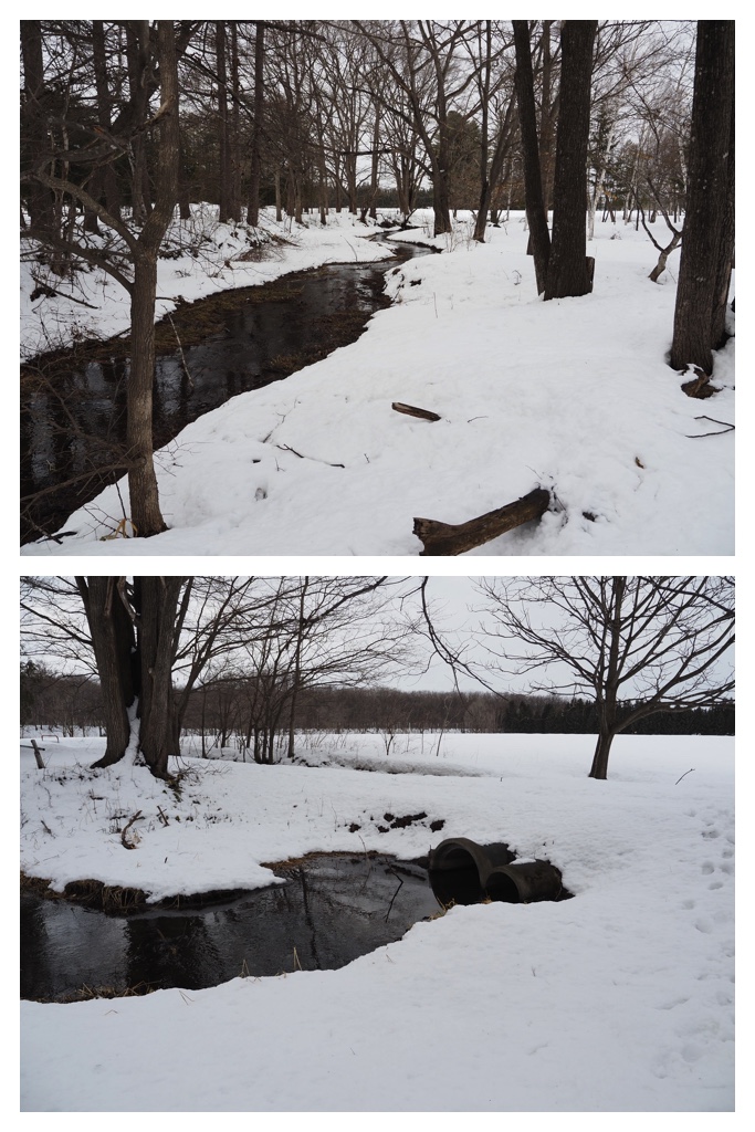 260306_Snowy-scenes_6