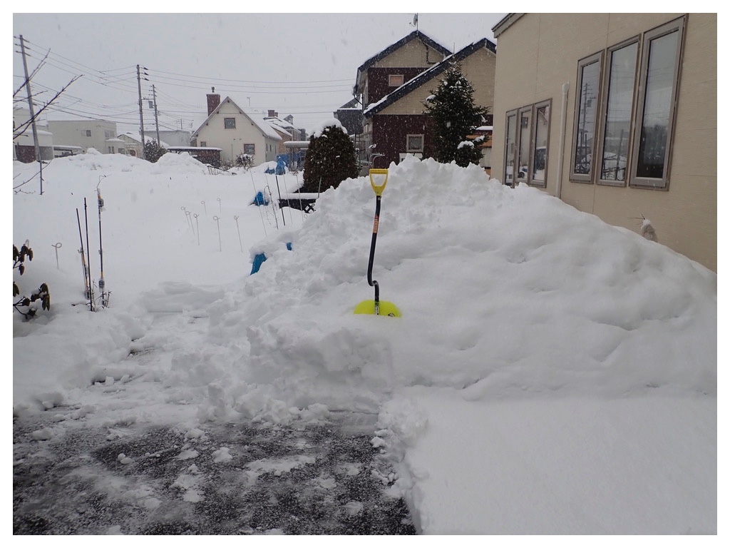 260307_3rd-snow-removal_1