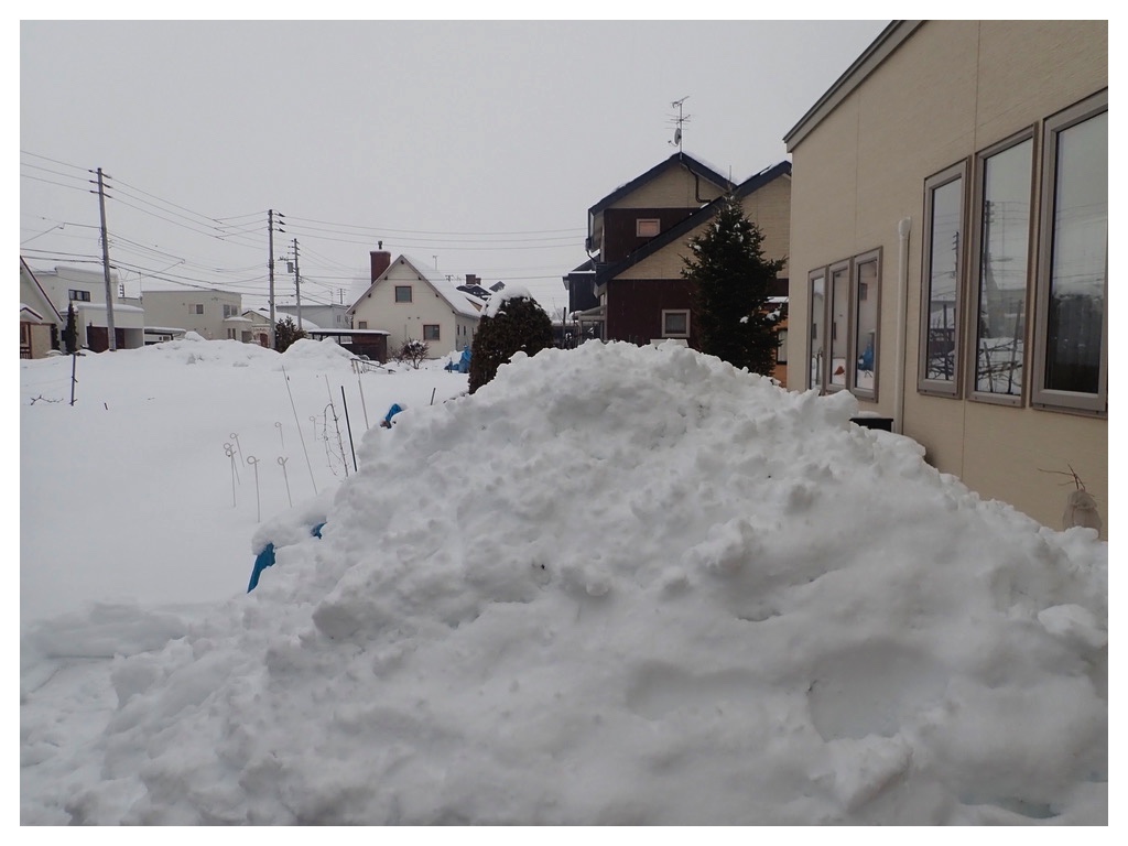 260307_3rd-snow-removal_3