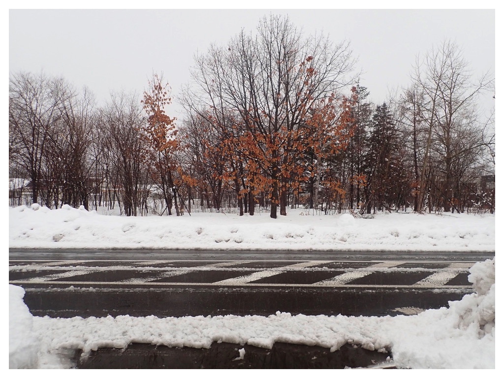 260307_3rd-snow-removal_4