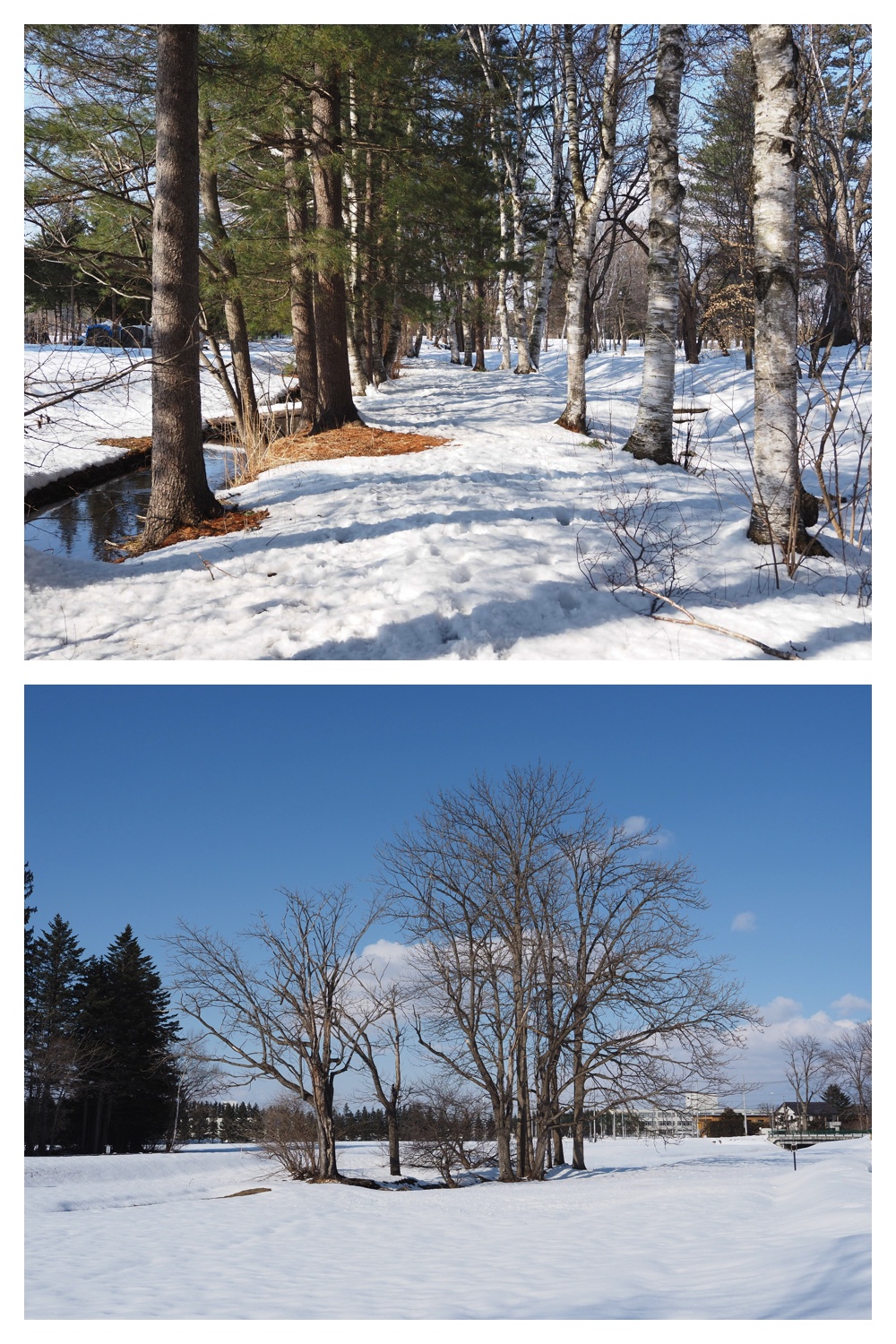 260310_Aikoku-00hashi_1