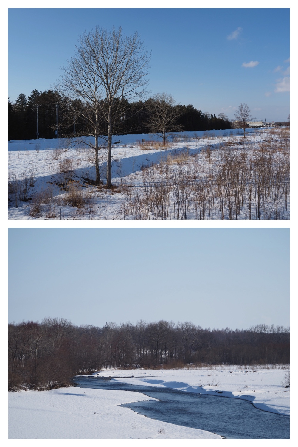 260310_Aikoku-00hashi_10