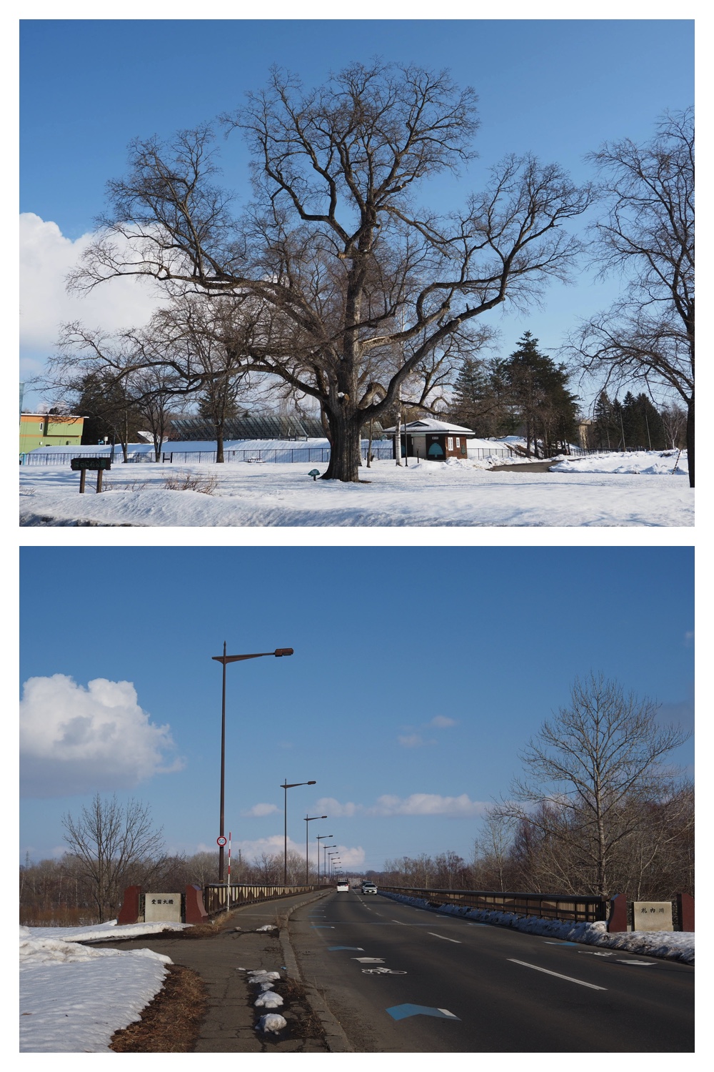 260310_Aikoku-00hashi_3