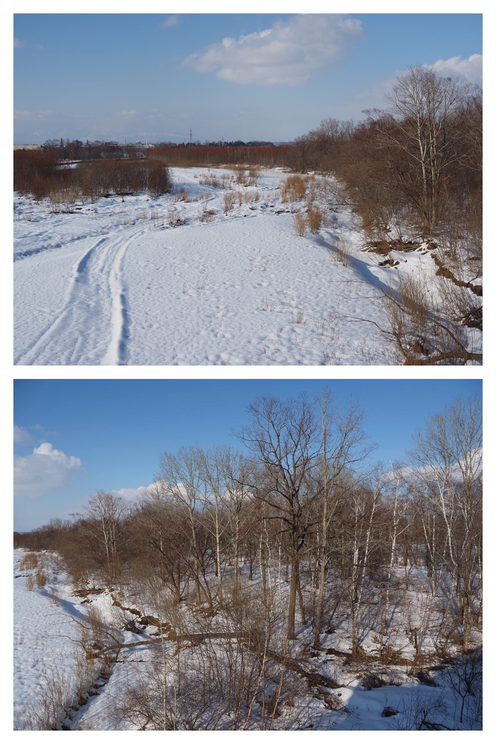 260310_Aikoku-00hashi_8