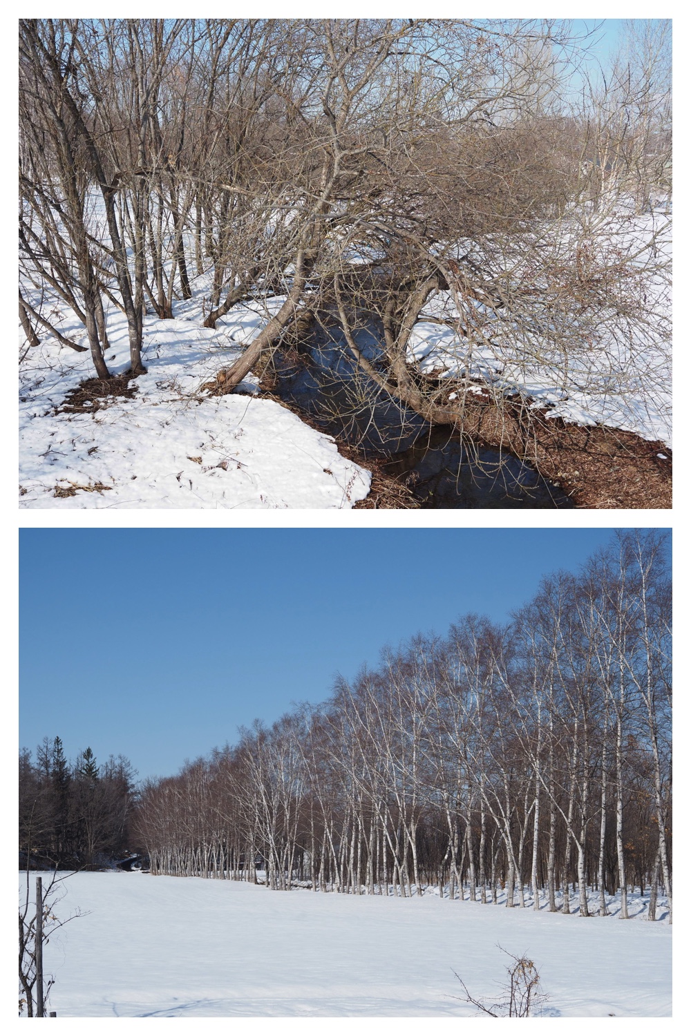 260311_Solar-panel_1