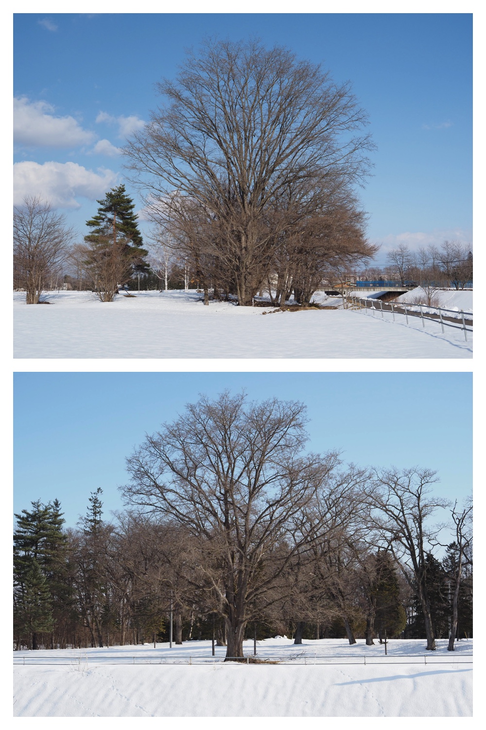 260311_Solar-panel_14