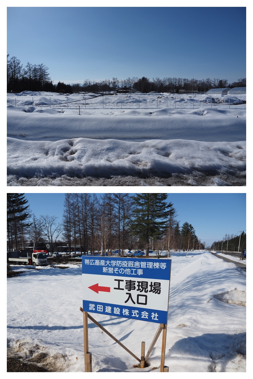 260311_Solar-panel_6