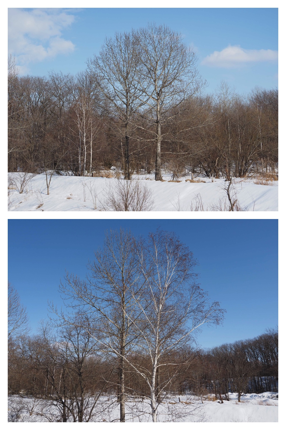 260311_Solar-panel_8