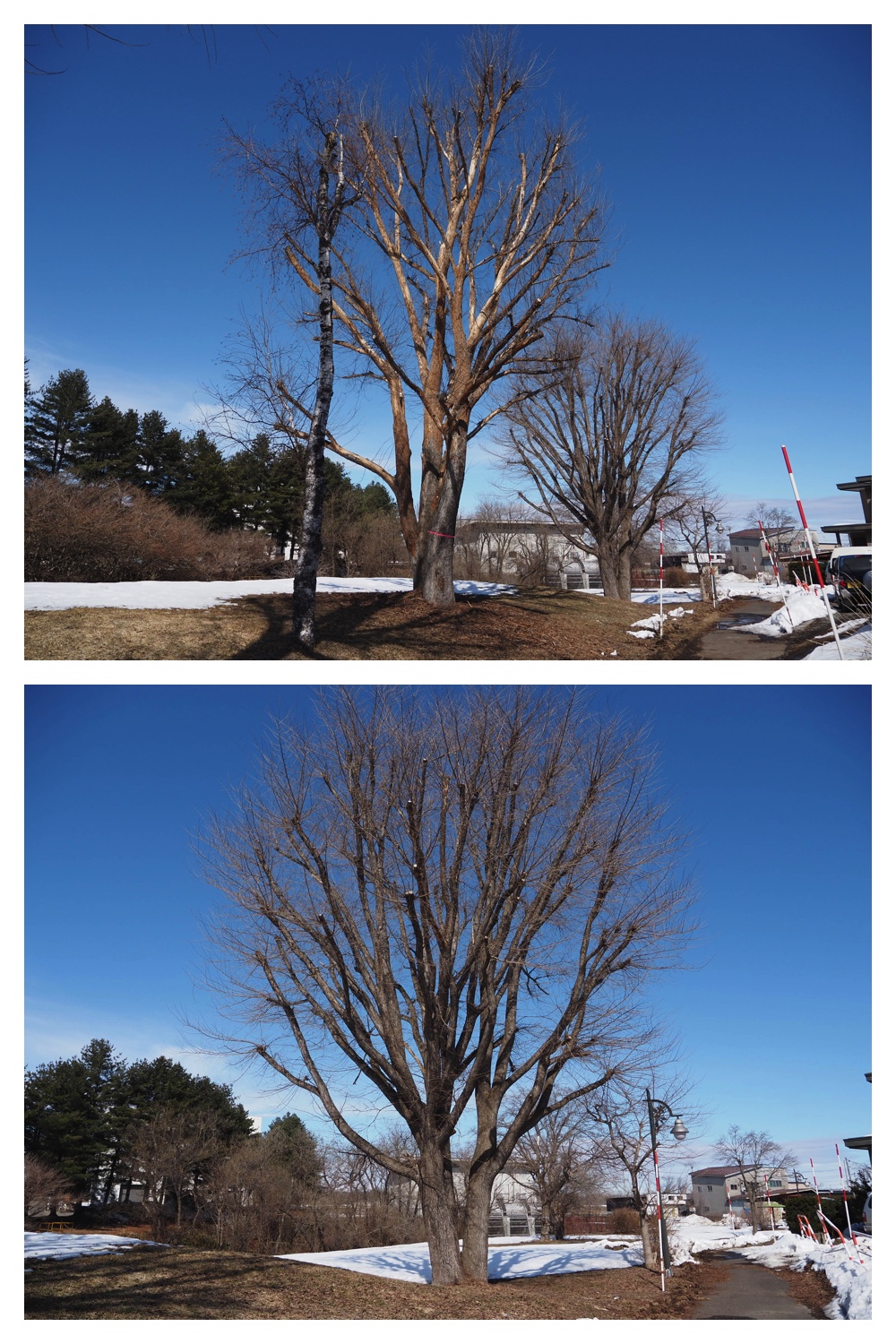 260314_Hasshounochi_26