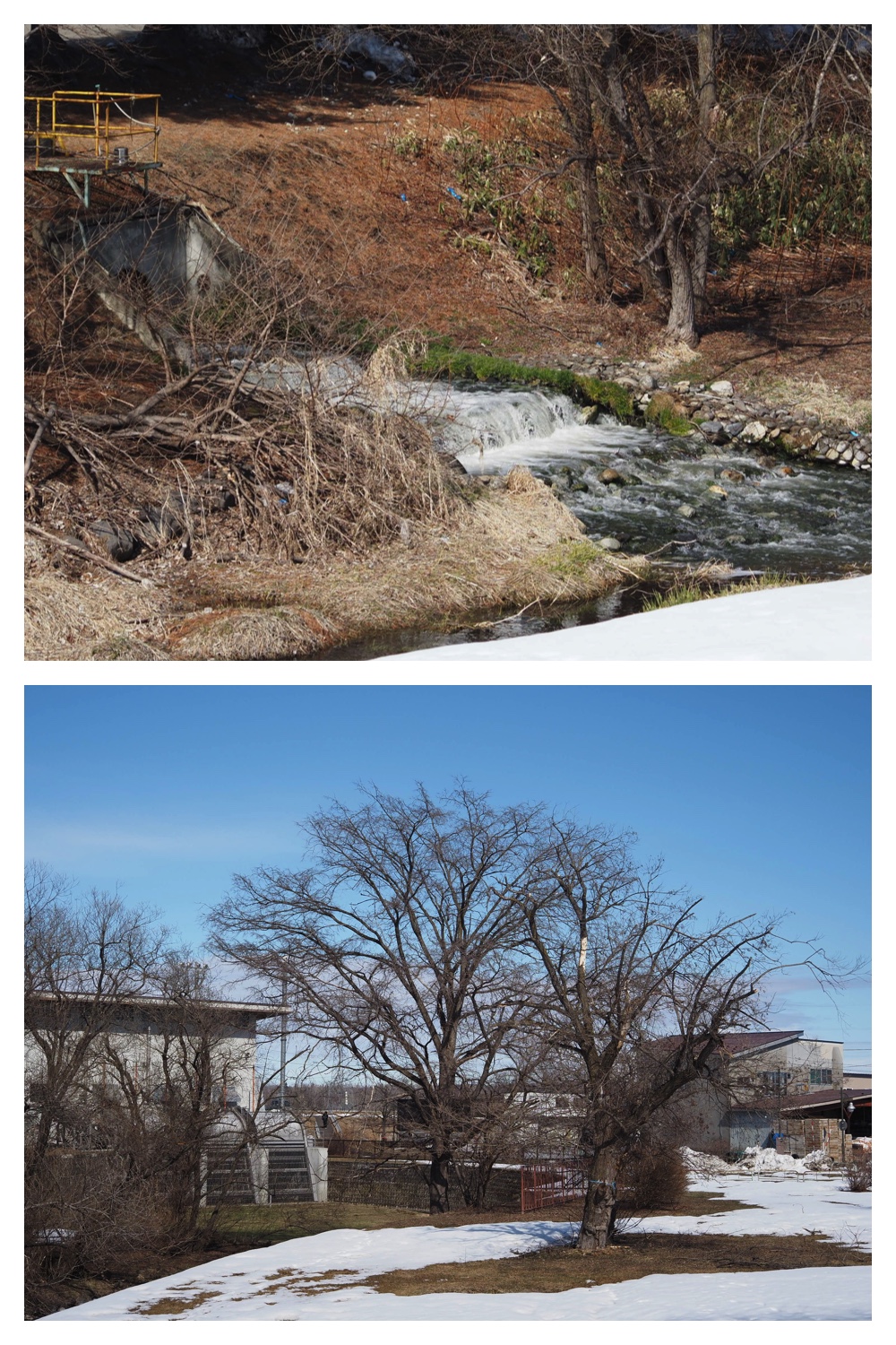 260314_Hasshounochi_27