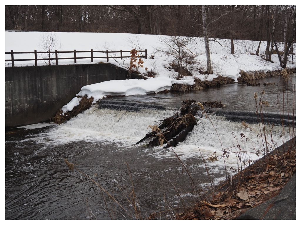 260316_Urikaigawa_11