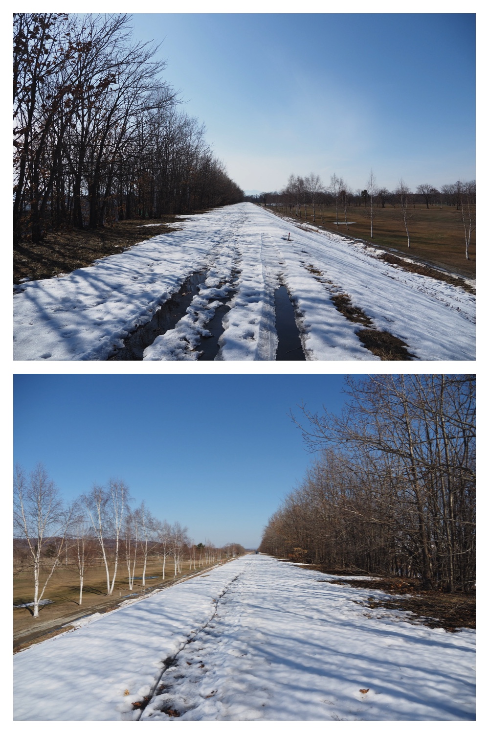 260318_Tokachigaoka_22