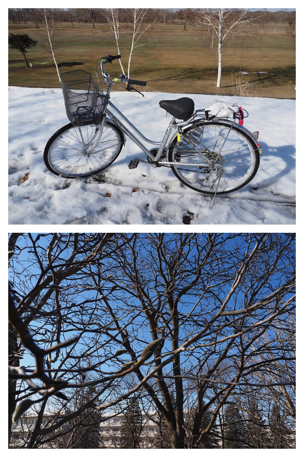 260318_Tokachigaoka_23