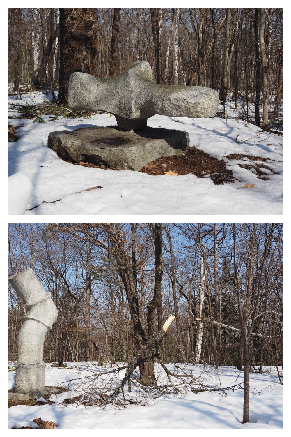 260320_Midorigaoka_2